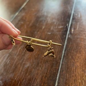 Dolphin Alex and ani bracelet gold